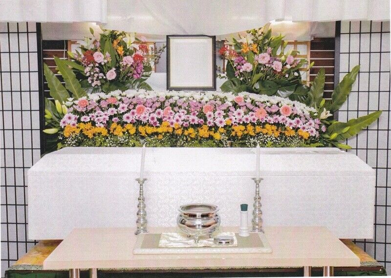 秋桜プラン下松