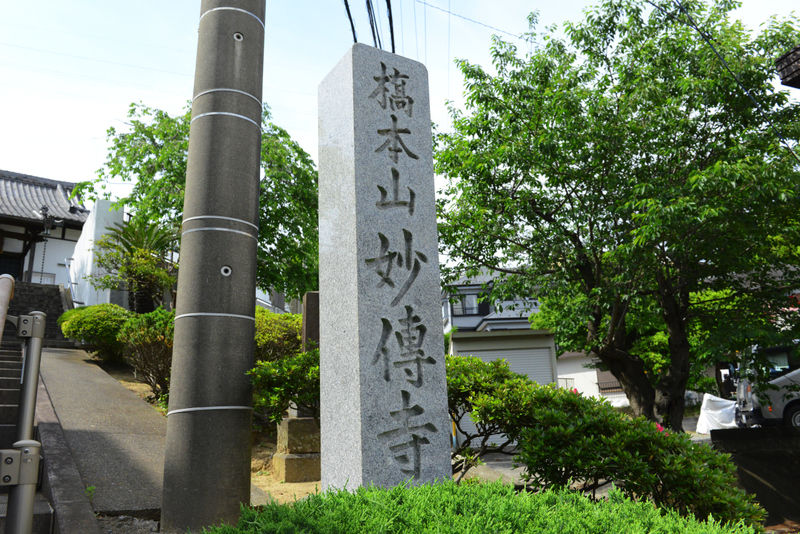 妙伝寺 看板1