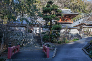 林叟院