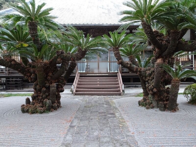 大光寺 外観５