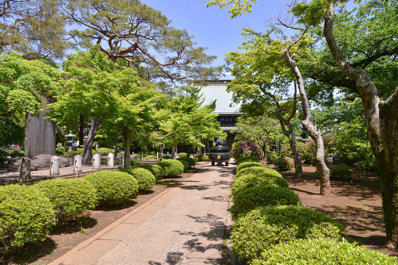 豪徳寺 参道