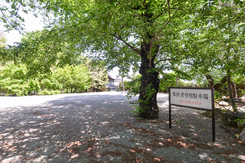 豪徳寺 駐車場