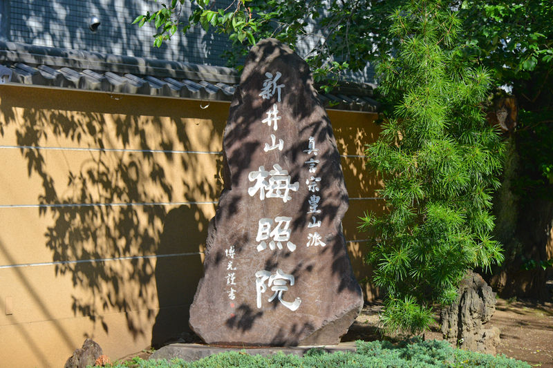 新井薬師寺 梅照院大悲殿 看板1
