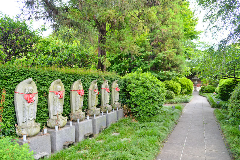 泉蔵院 阿弥陀堂 入口1