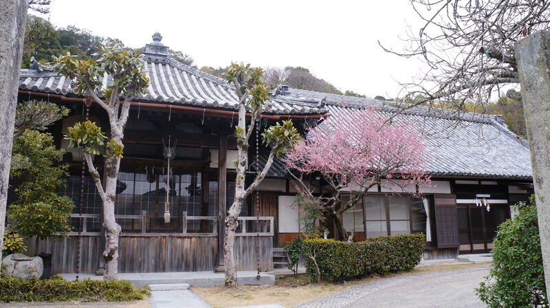 極楽寺 建物外観2