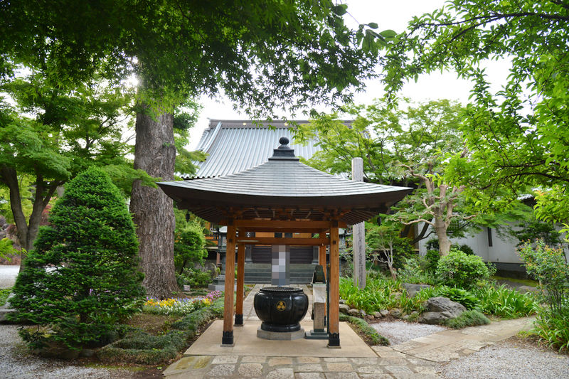 円福寺 双樹堂 外観1