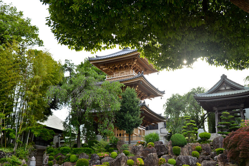 円福寺 双樹堂 外観2