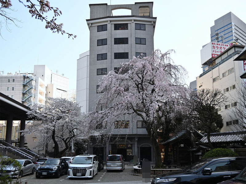 常圓寺　祖師堂 祖師堂