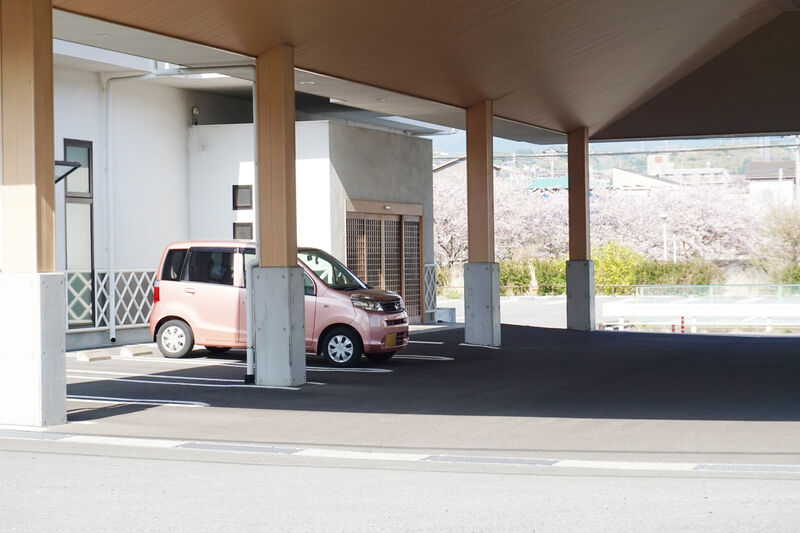 平安院桜堤 入口