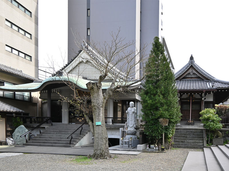 南蔵院 本堂 外観