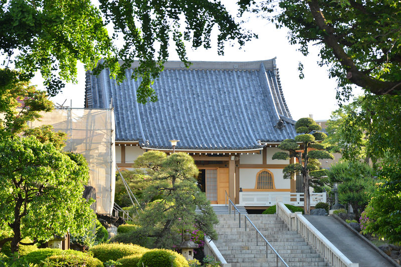 東福寺 外観1