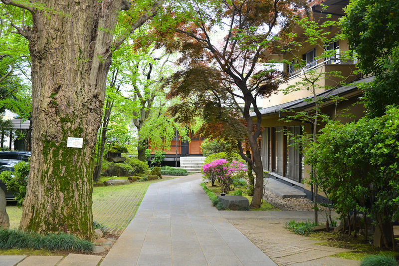 西信寺 外観1