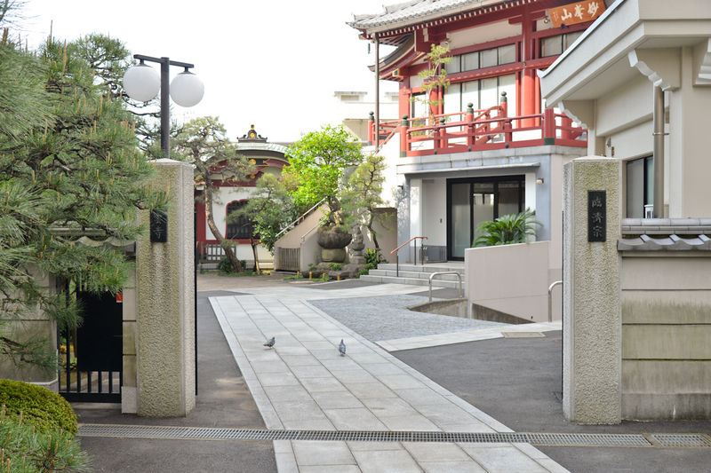 徳雲寺 妙峰会館 入口2