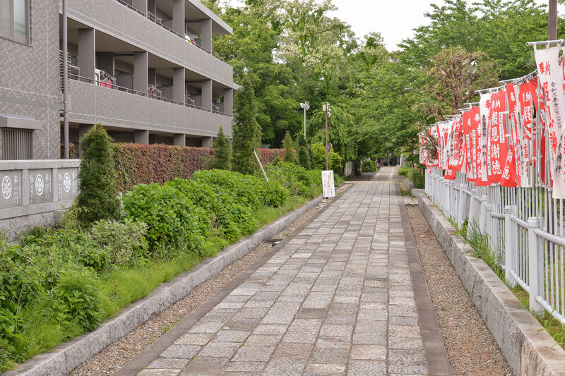 普陀山　千手院　常信寺 参道