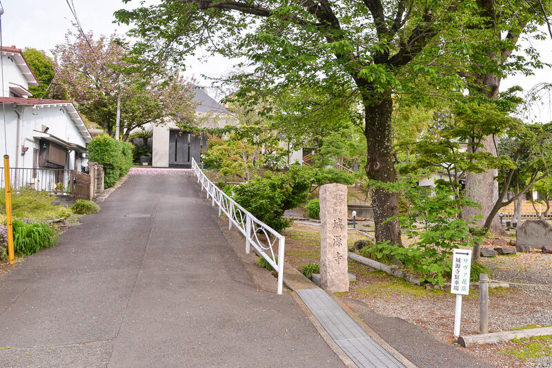 サヴァ花岳 参道