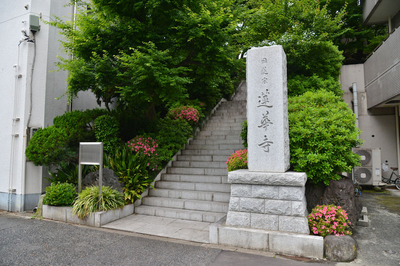 蓮華寺 入口1