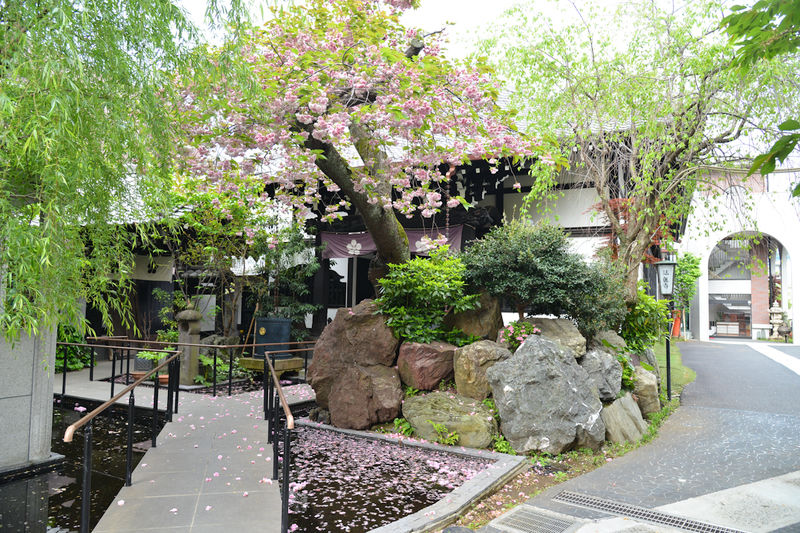 法真寺会館 外観2