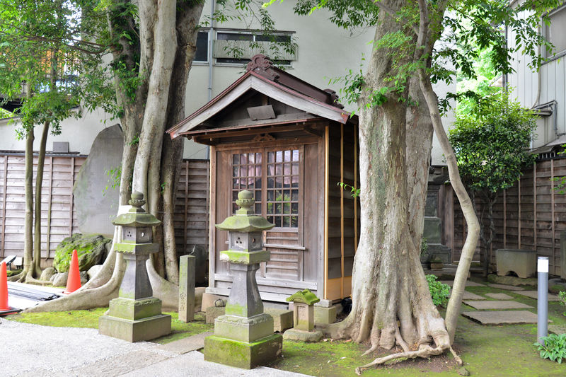 大林寺 外観2