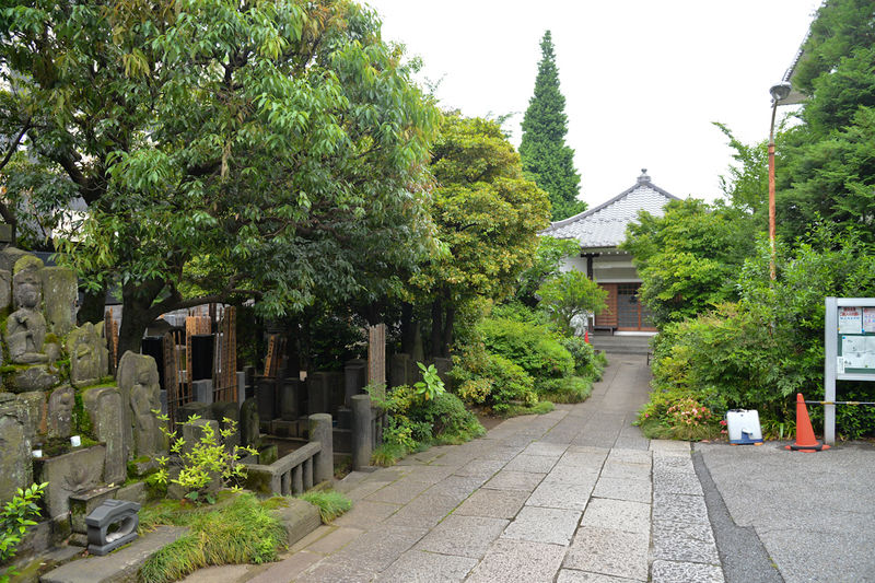 定泉寺 外観1