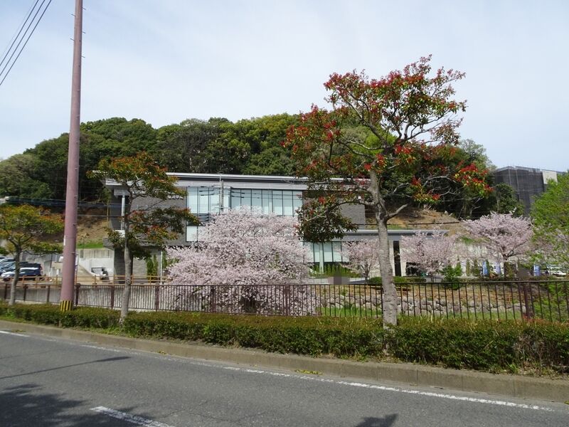 しらゆりセレモニーホール 福岡平尾 外観３