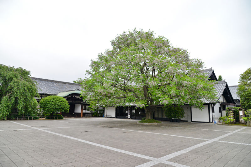 吉祥寺 駐車場1