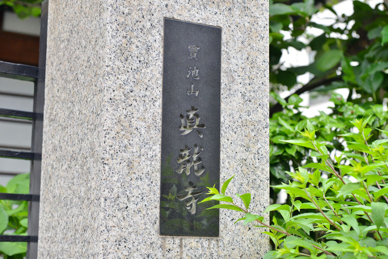 真龍寺 資料