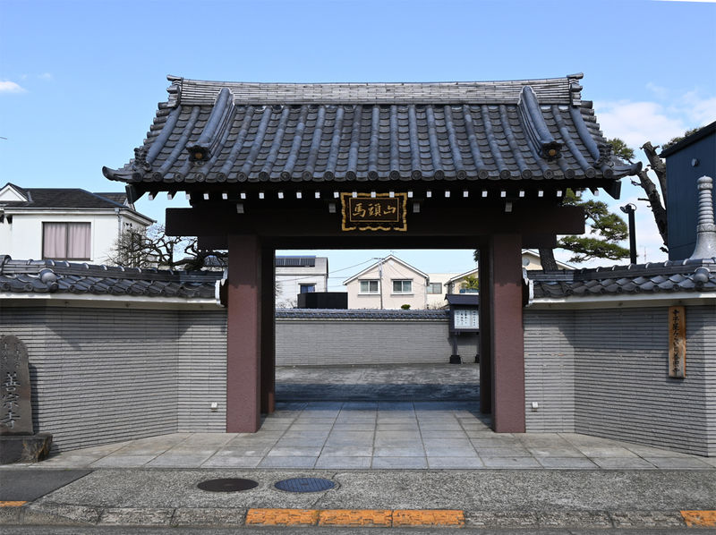 善宗寺 門