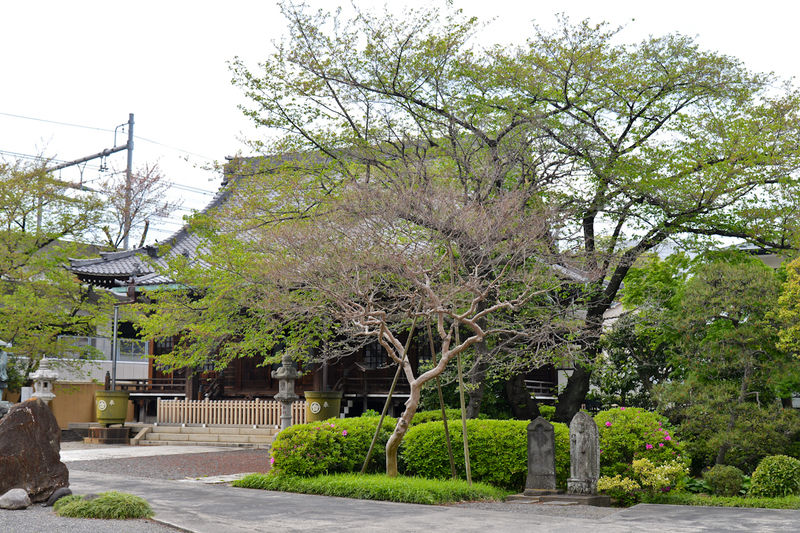 宝憧院 外観2