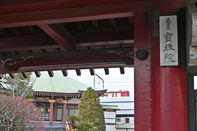 寳珠院 看板