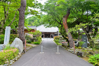 高尾霊園 高乗寺 龍雲閣