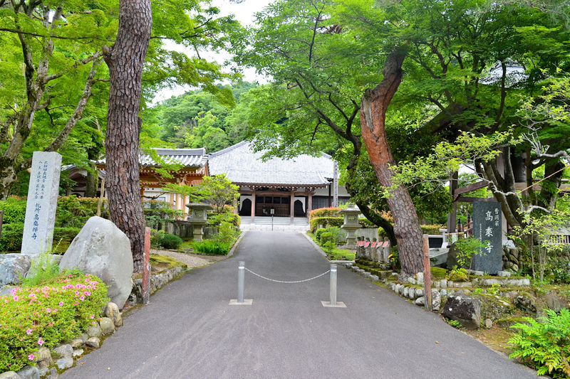 高尾霊園 高乗寺 龍雲閣 入口1