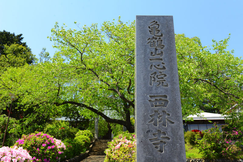 西林寺 看板