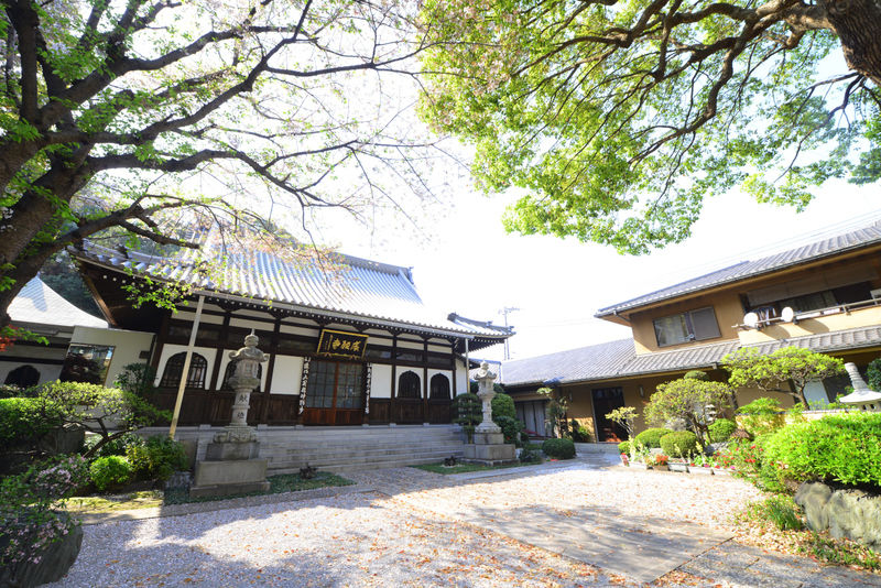 成願寺 外観1