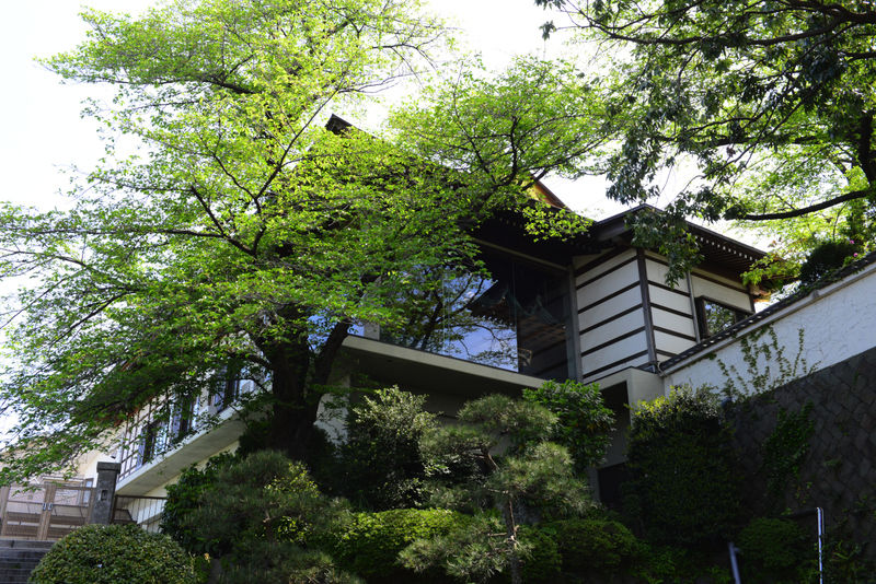 林光寺 外観3