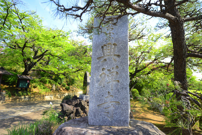 興禅寺会館 看板