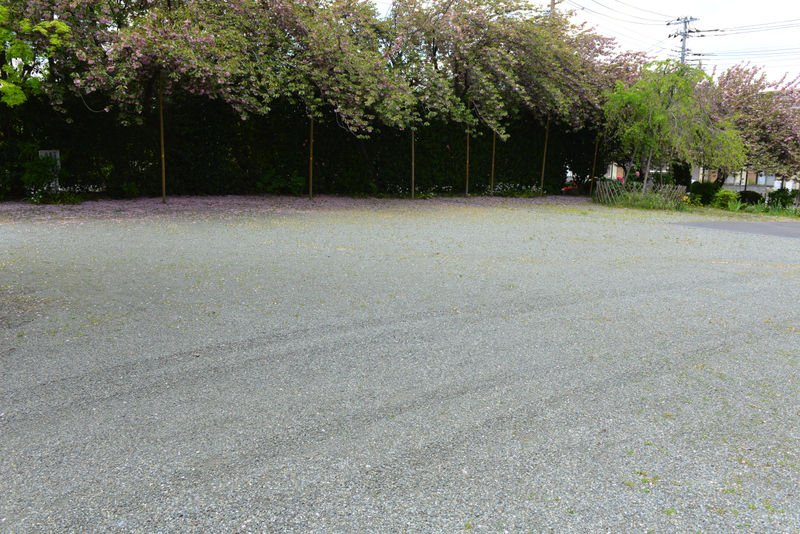 長善寺 光寿会館 駐車場