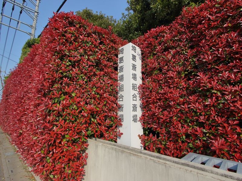 埼葛斎場 看板1