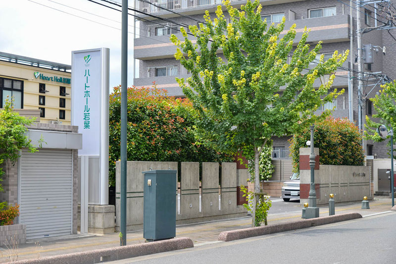 ハートホール若葉 入口1