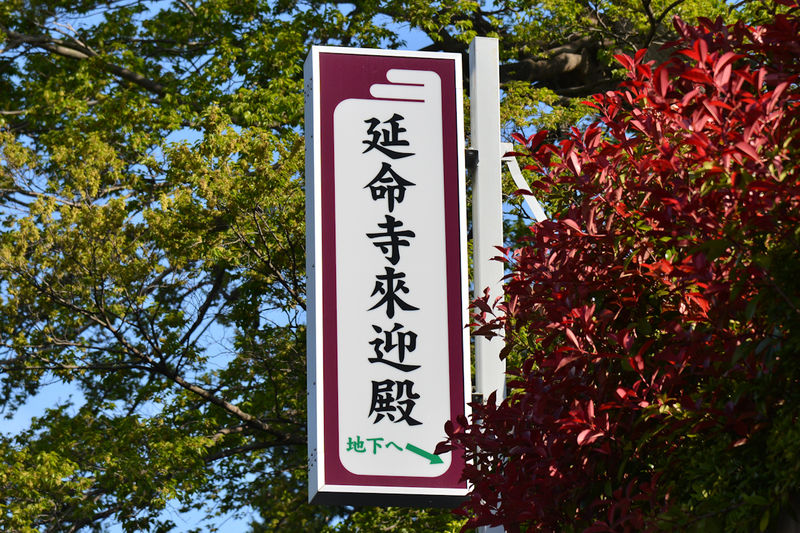 延命寺来迎殿 看板1