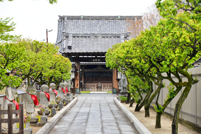 宝樹院会館 入口2