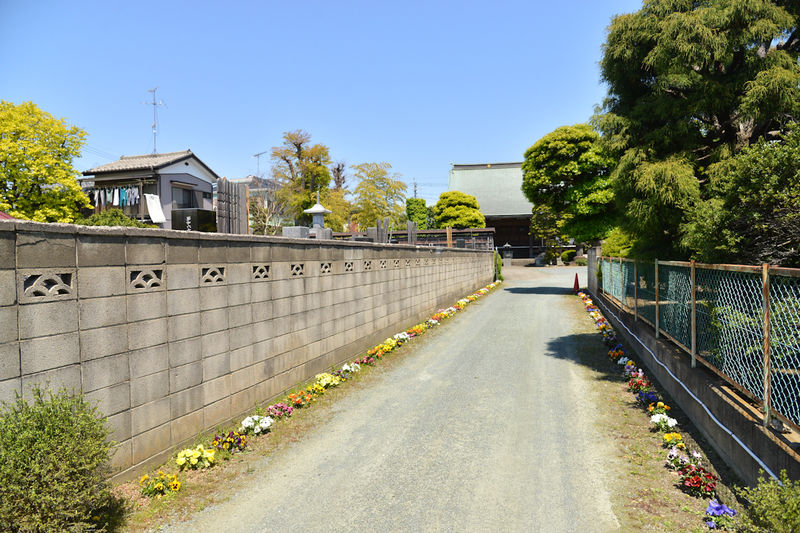 薬王寺  入口2