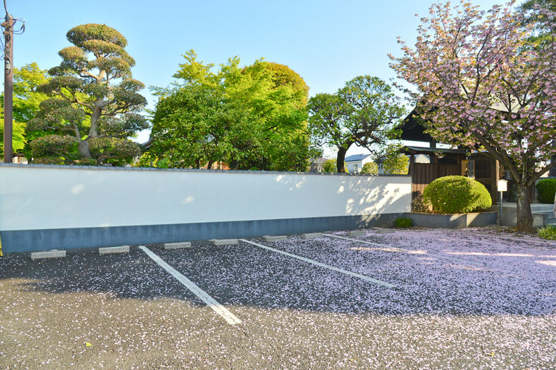 蓮光寺 聖天堂 駐車場1