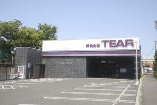 ティア如意申