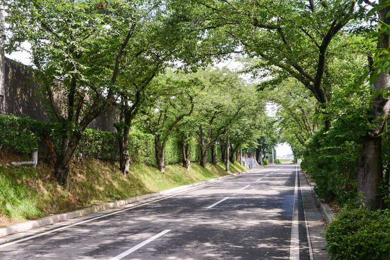 白根斎場 入口１