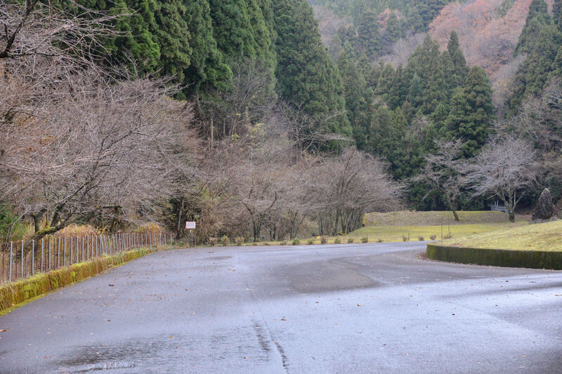 越前市斎場 駐車場