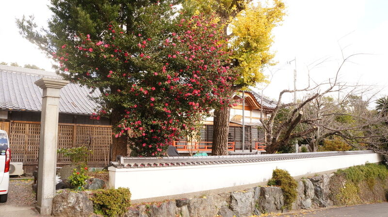普門寺本堂 建物外観2