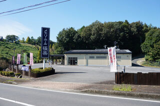 メモリーホール極楽