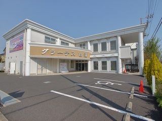 グラーテス 白蓮