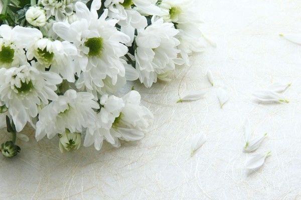 葬儀費用はどれくらいなのか？費用の内訳・安くする方法を解説