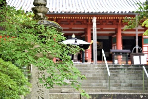 檀家とは何か？檀家になるメリットやデメリットも紹介します